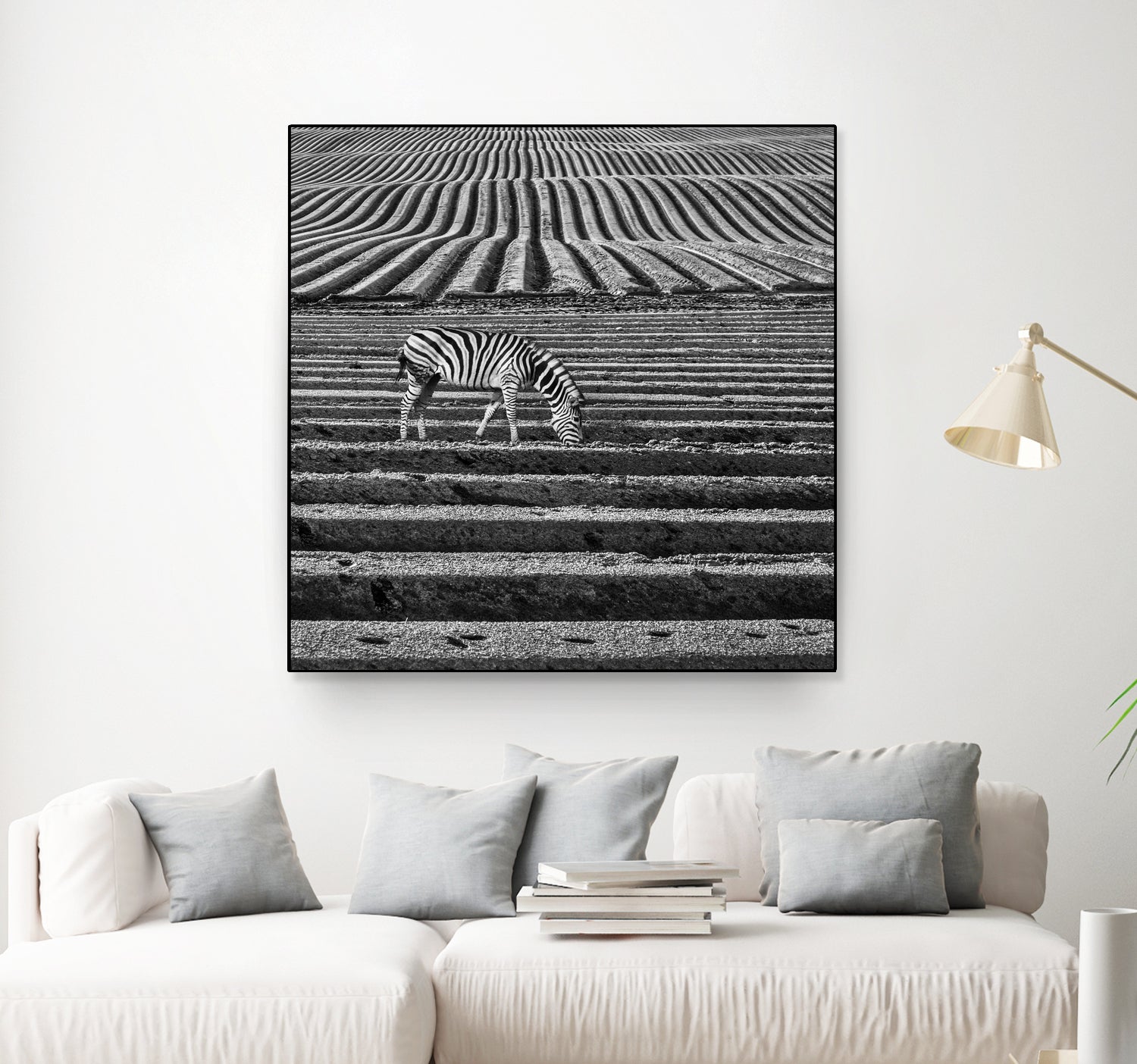 Zebra Field by Dariusz Klimczak on GIANT ART - gray photo illustration