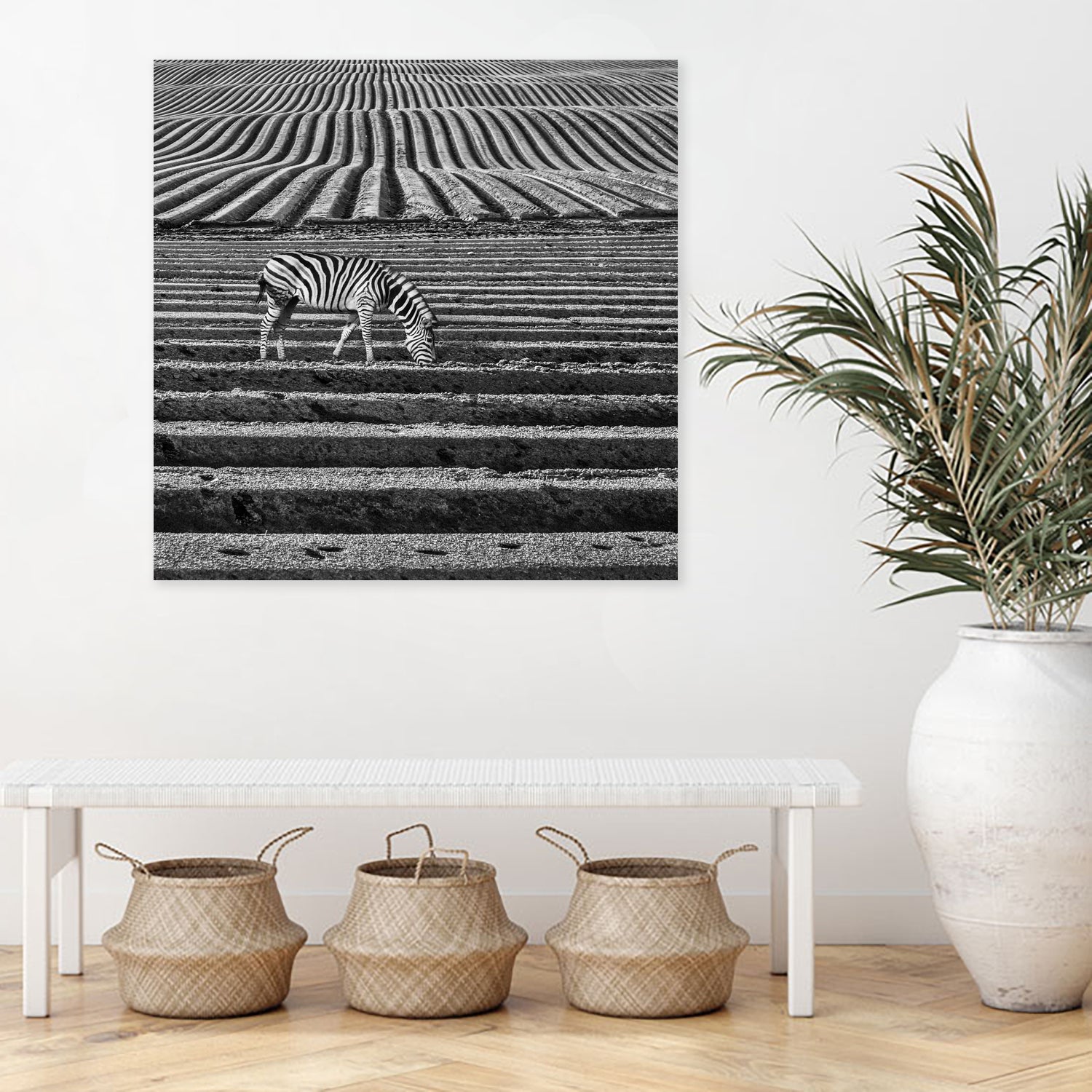 Zebra Field by Dariusz Klimczak on GIANT ART - gray photo illustration