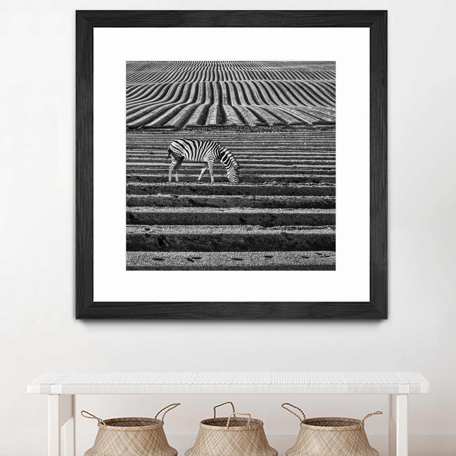 Zebra Field by Dariusz Klimczak on GIANT ART - gray photo illustration