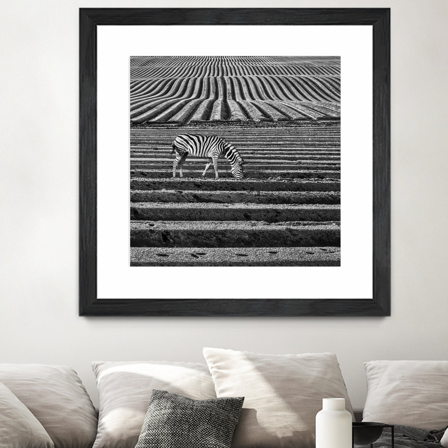 Zebra Field by Dariusz Klimczak on GIANT ART - gray photo illustration