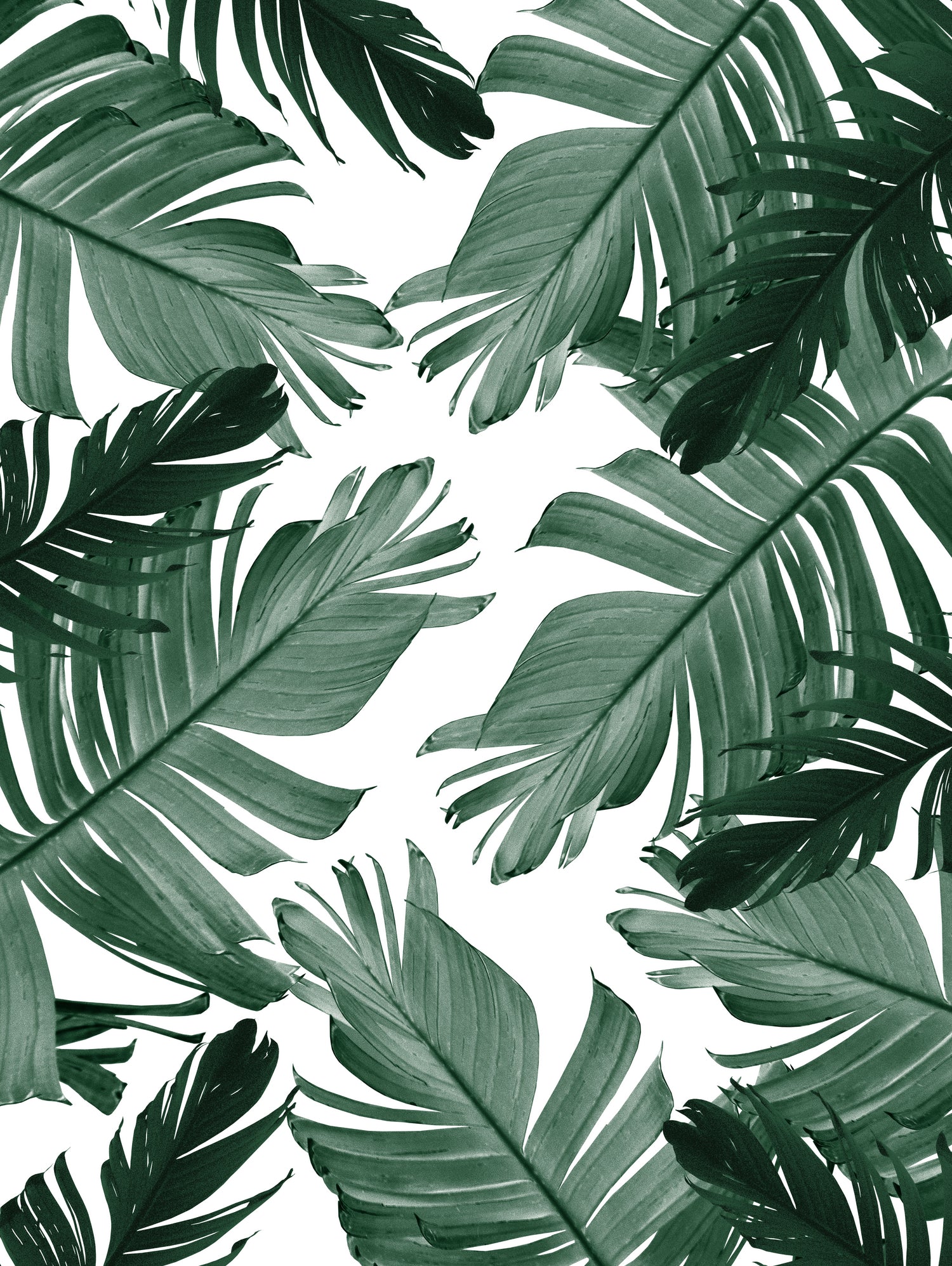 Tropical Banana Leaves Pattern #3 #tropical #decor #art by Anita & Bella Jantz on GIANT ART - green photo illustration