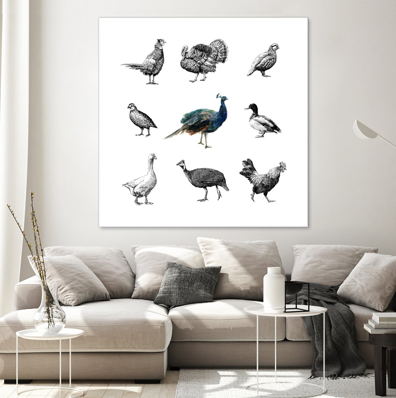 Bird Farm by Martina Dirce Carcano on GIANT ART - white digital painting