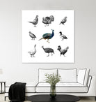 Bird Farm by Martina Dirce Carcano on GIANT ART - white digital painting