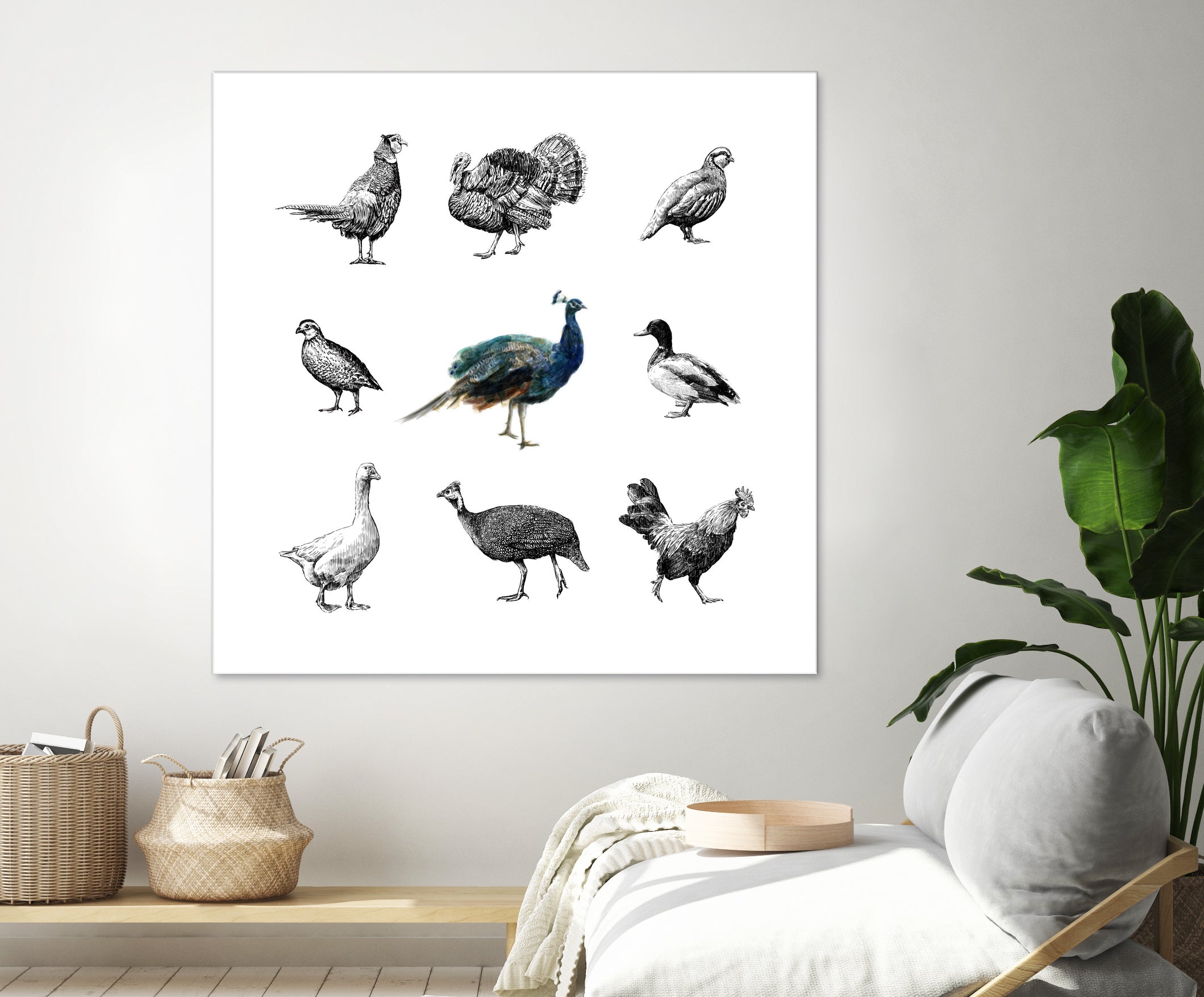 Bird Farm by Martina Dirce Carcano on GIANT ART - white digital painting