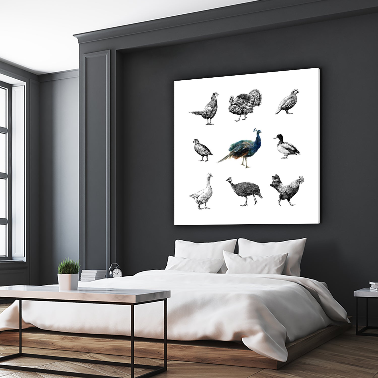 Bird Farm by Martina Dirce Carcano on GIANT ART - white digital painting