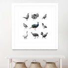 Bird Farm by Martina Dirce Carcano on GIANT ART - white digital painting