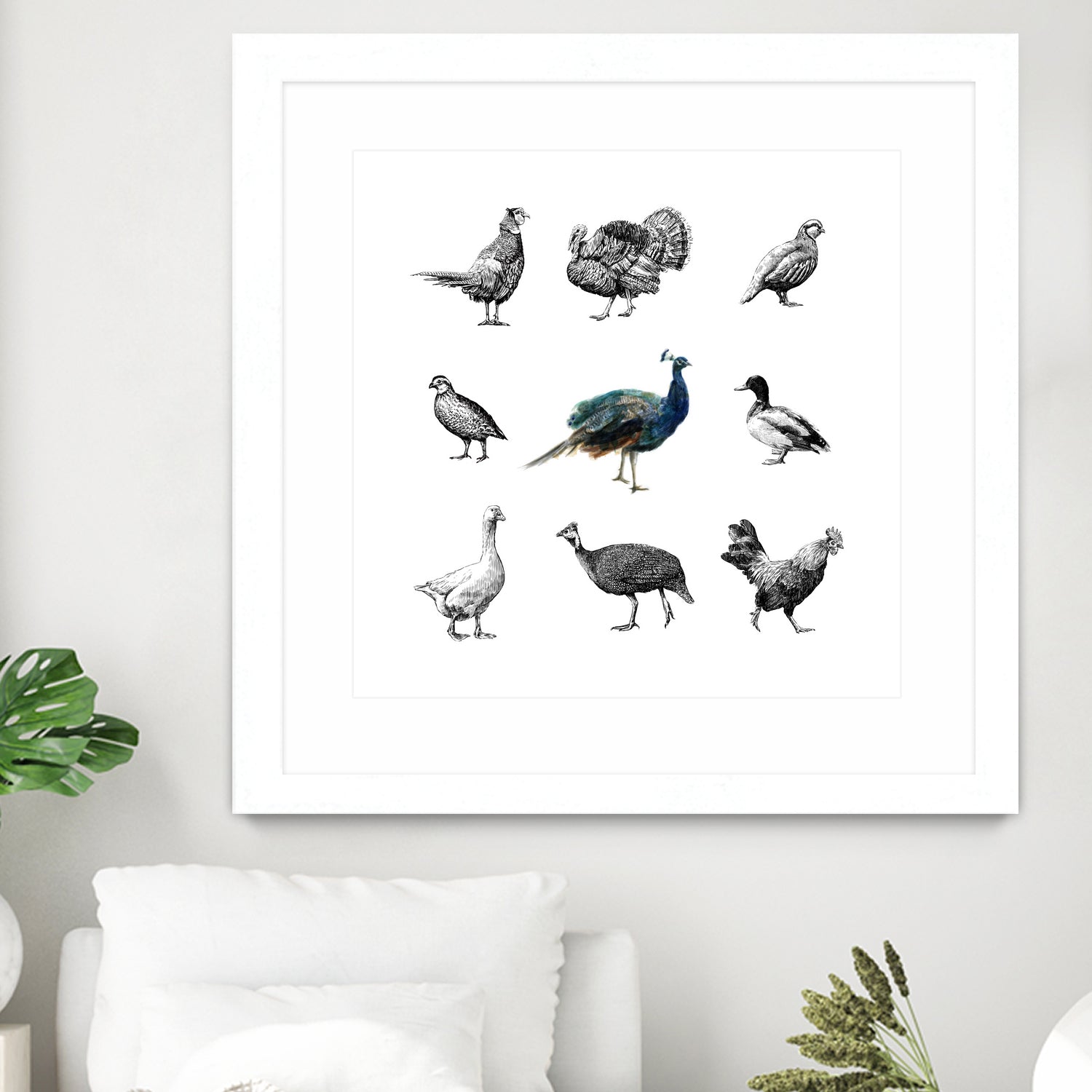 Bird Farm by Martina Dirce Carcano on GIANT ART - white digital painting