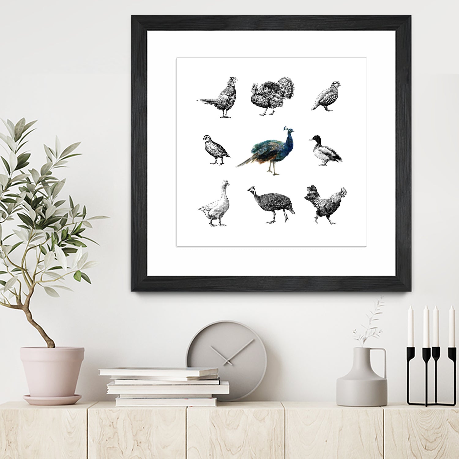 Bird Farm by Martina Dirce Carcano on GIANT ART - white digital painting