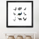 Bird Farm by Martina Dirce Carcano on GIANT ART - white digital painting