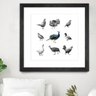 Bird Farm by Martina Dirce Carcano on GIANT ART - white digital painting