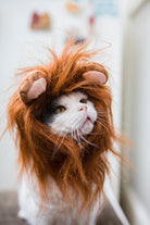 Cat lion by Jovana Rikalo on GIANT ART - orange photo manipulation