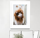 Cat lion by Jovana Rikalo on GIANT ART - orange photo manipulation