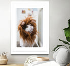 Cat lion by Jovana Rikalo on GIANT ART - orange photo manipulation