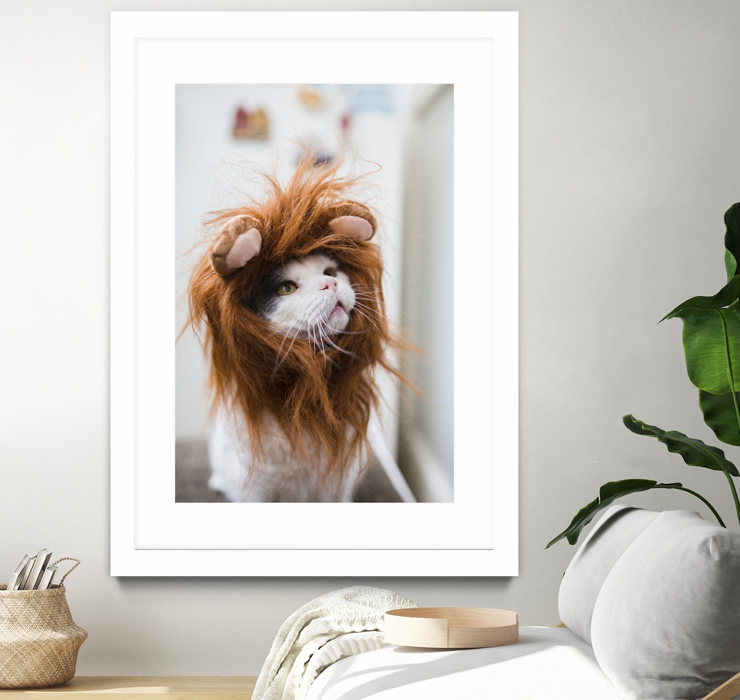 Cat lion by Jovana Rikalo on GIANT ART - orange photo manipulation