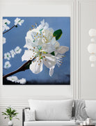 Spring Blossoms by Matthew Holden Bates on GIANT ART - white mixed media