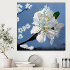 Spring Blossoms by Matthew Holden Bates on GIANT ART - white mixed media