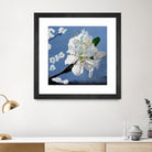 Spring Blossoms by Matthew Holden Bates on GIANT ART - white mixed media