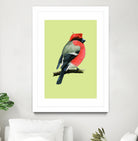 Eurasian bullfinch by Mikhail Vedernikov on GIANT ART - orange mixed media