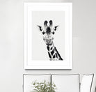 Giraffe by Menelaos Trompoukis on GIANT ART - white digital painting