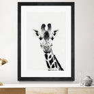 Giraffe by Menelaos Trompoukis on GIANT ART - white digital painting