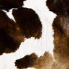 Beautiful Highland Cow Cowhide by Neli Dimitrova on GIANT ART - brown photo manipulation