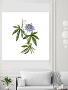 Vintage Blue Passionflower Botanical Illustration by Raul Andre Petrasanta on GIANT ART - blue mixed media