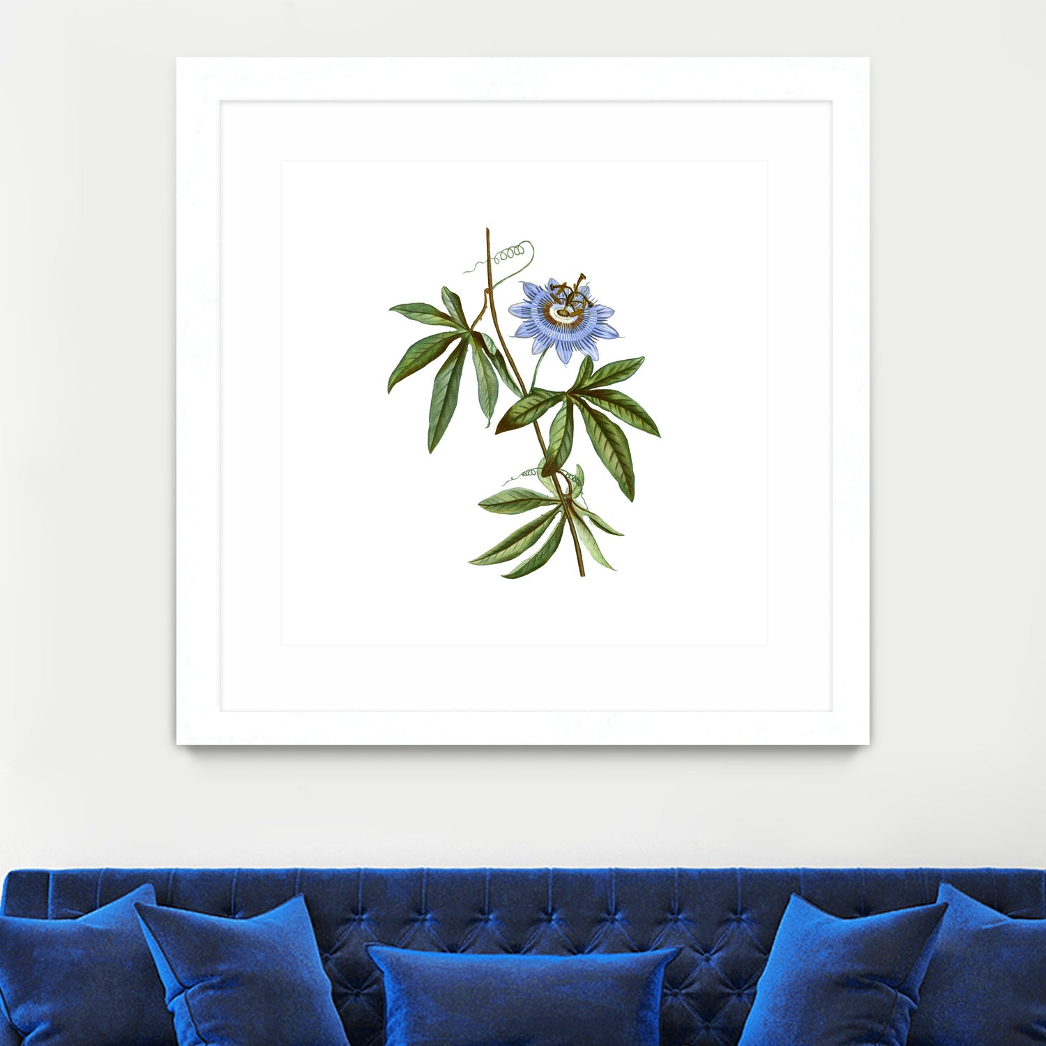 Vintage Blue Passionflower Botanical Illustration by Raul Andre Petrasanta on GIANT ART - blue mixed media