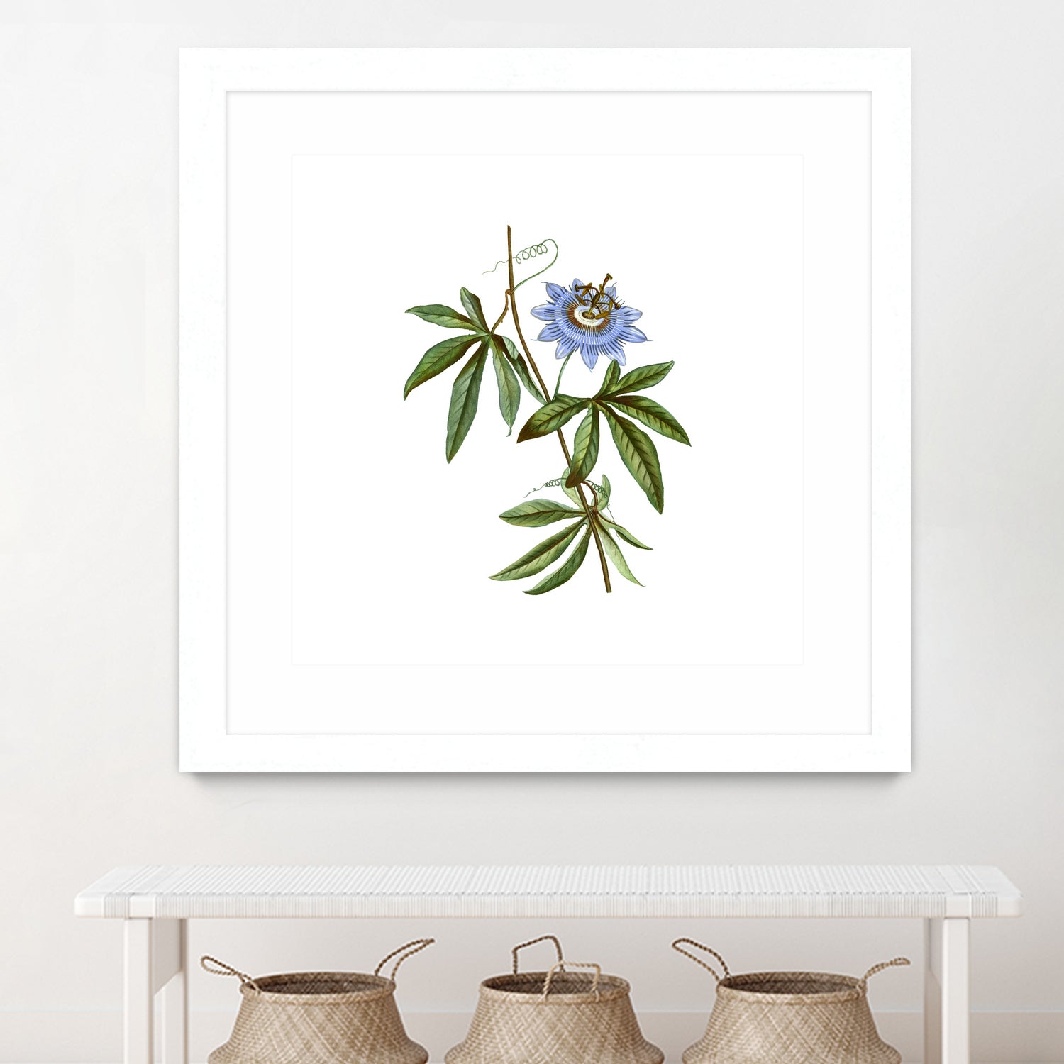 Vintage Blue Passionflower Botanical Illustration by Raul Andre Petrasanta on GIANT ART - blue mixed media