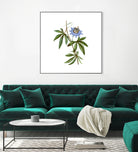 Vintage Blue Passionflower Botanical Illustration by Raul Andre Petrasanta on GIANT ART - blue mixed media