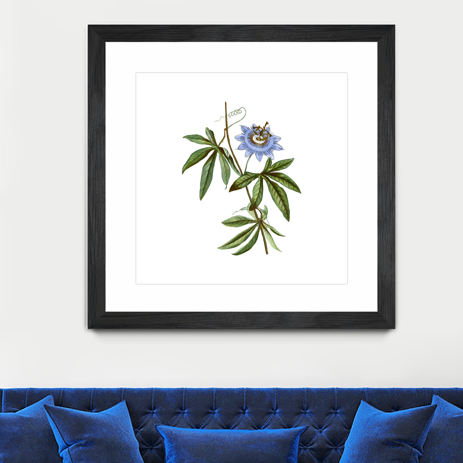 Vintage Blue Passionflower Botanical Illustration by Raul Andre Petrasanta on GIANT ART - blue mixed media