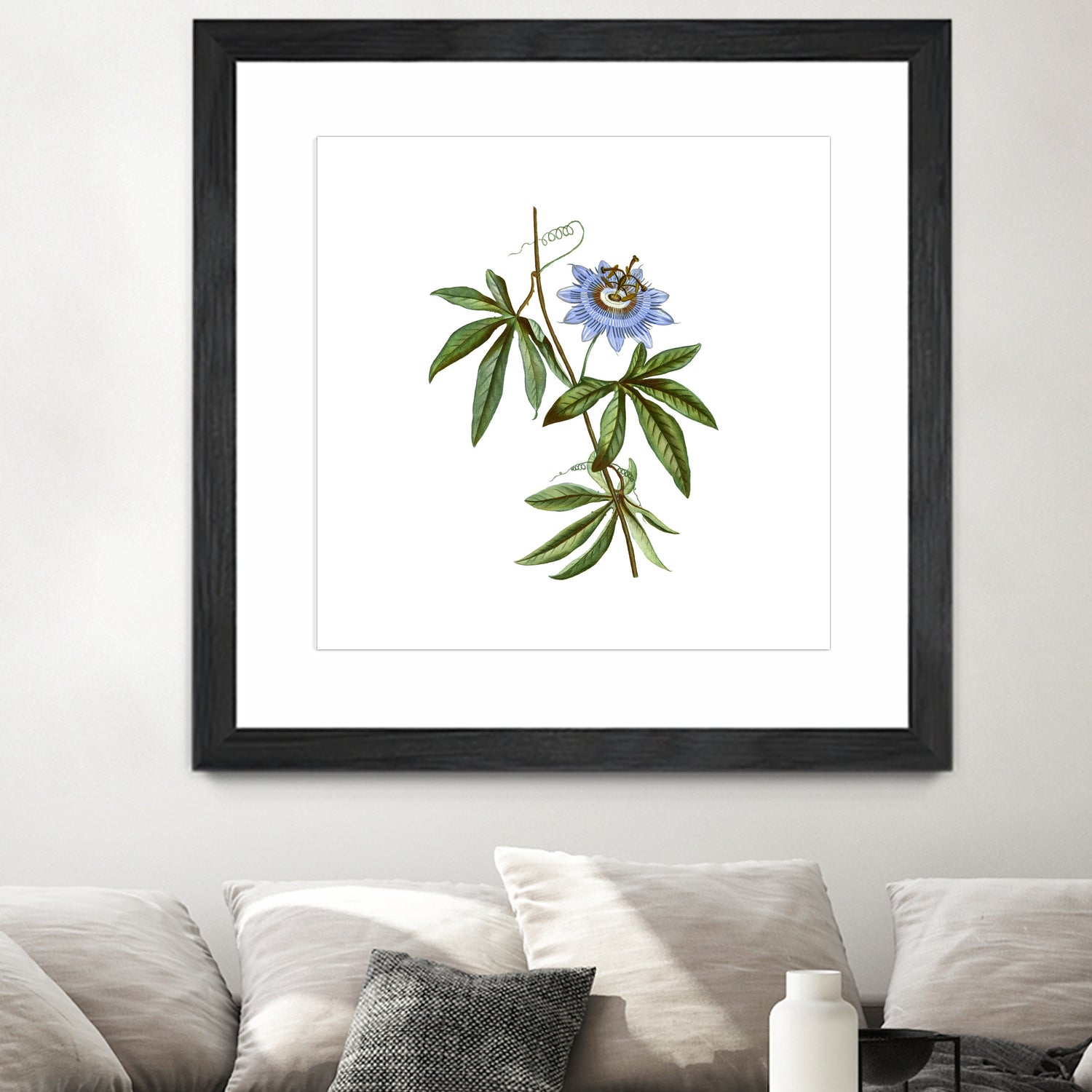 Vintage Blue Passionflower Botanical Illustration by Raul Andre Petrasanta on GIANT ART - blue mixed media