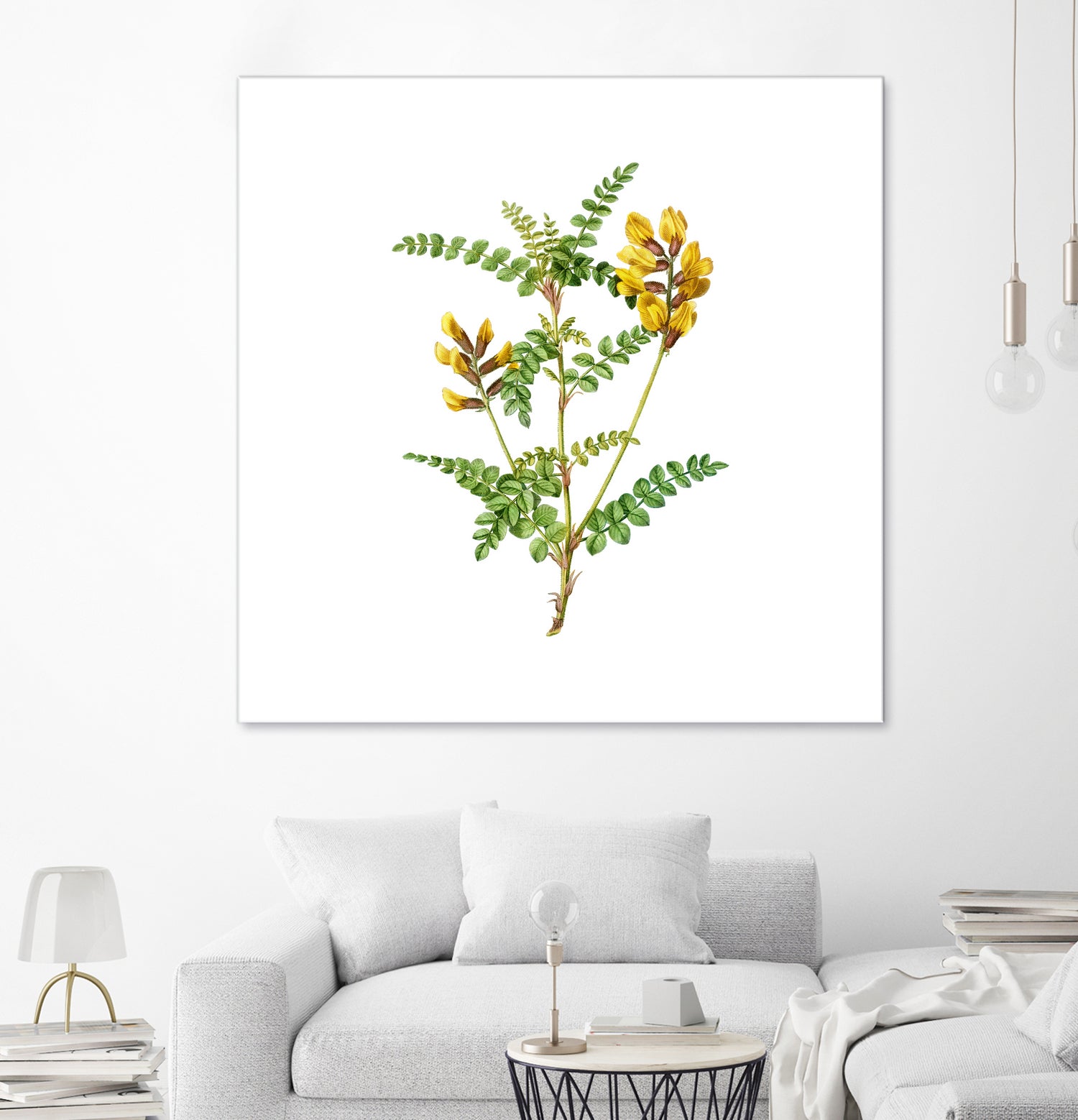 Vintage Calophaca Wolgarica Botanical Illustration by Raul Andre Petrasanta on GIANT ART - yellow mixed media