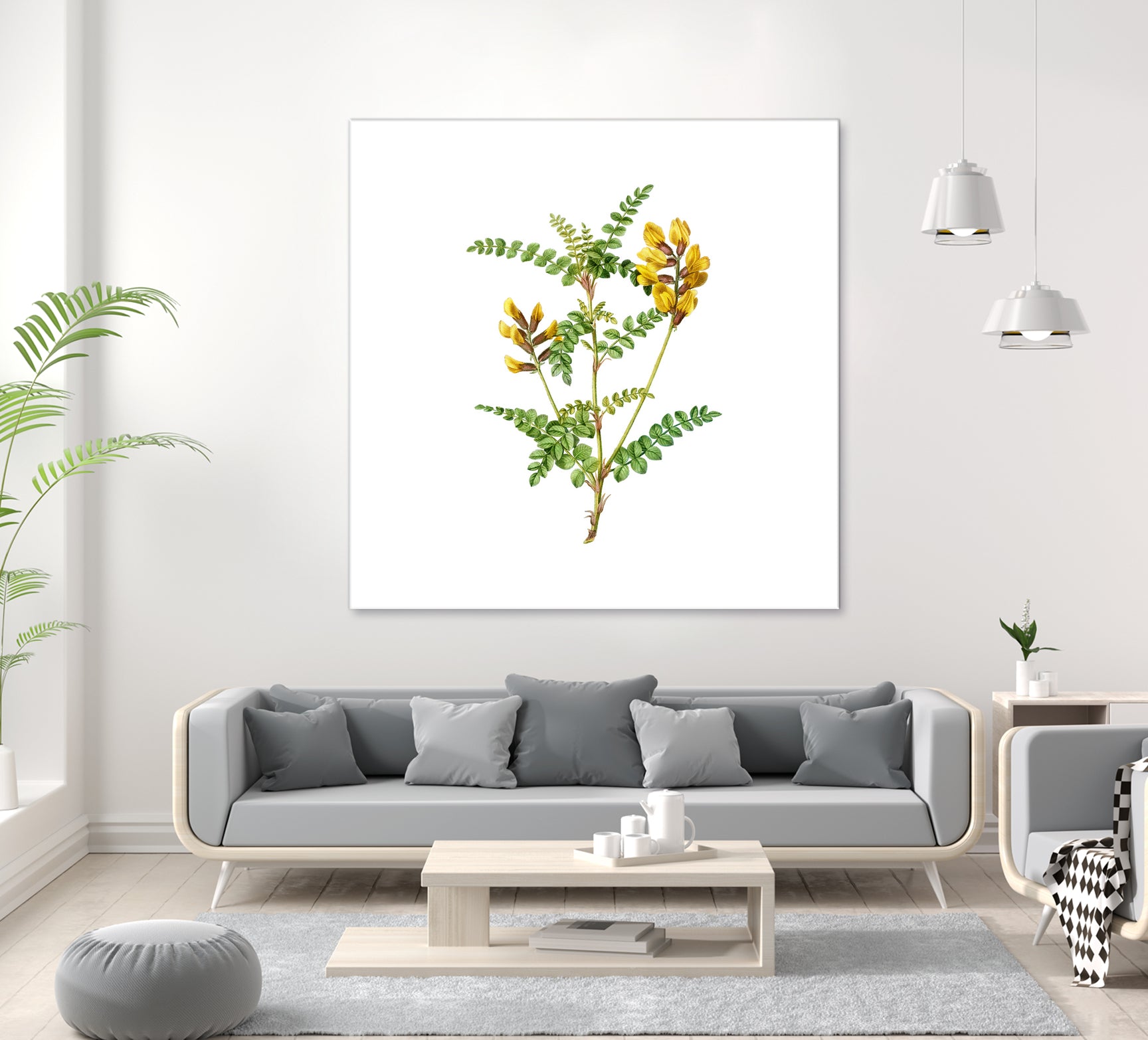 Vintage Calophaca Wolgarica Botanical Illustration by Raul Andre Petrasanta on GIANT ART - yellow mixed media