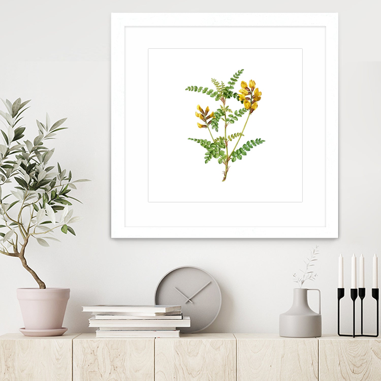 Vintage Calophaca Wolgarica Botanical Illustration by Raul Andre Petrasanta on GIANT ART - yellow mixed media