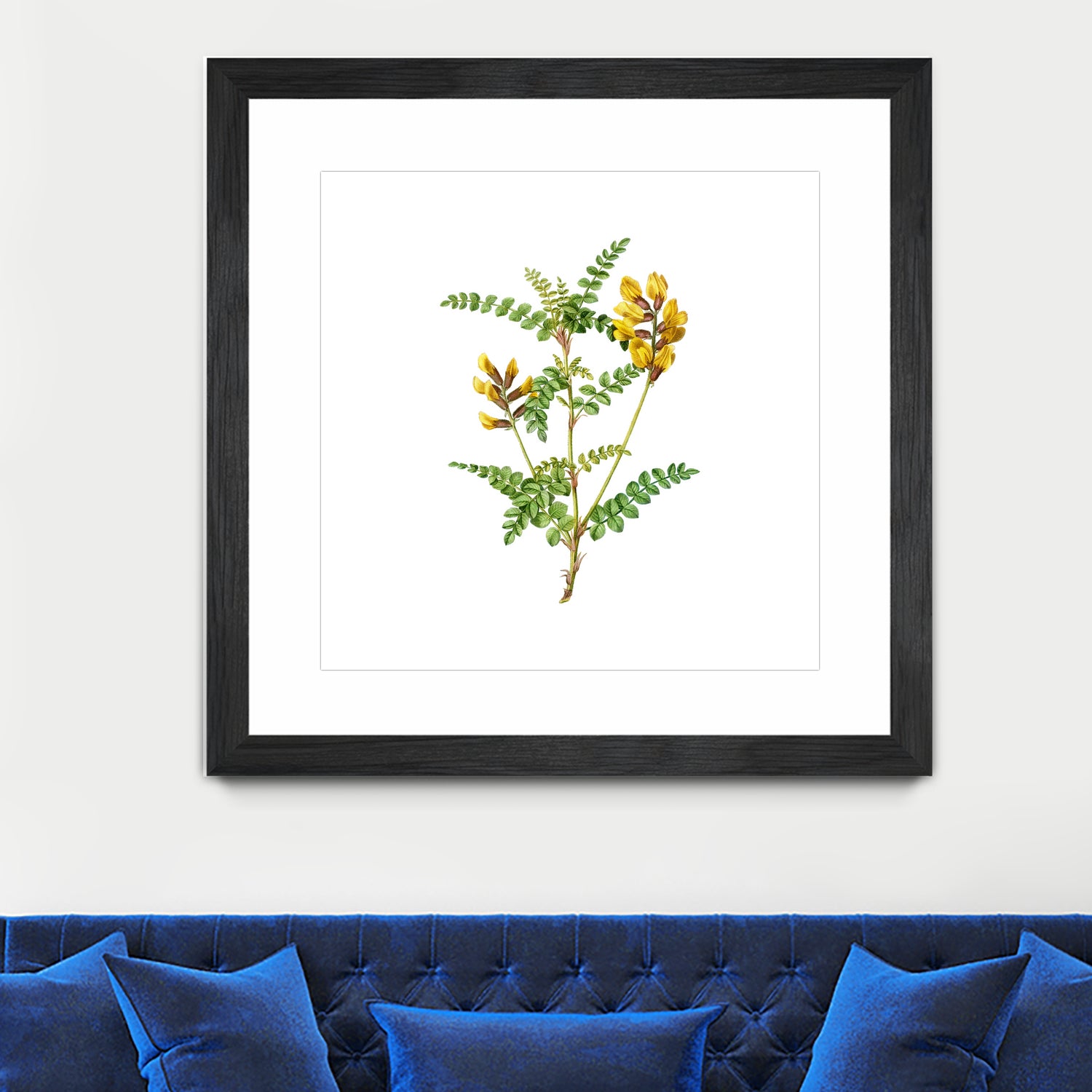 Vintage Calophaca Wolgarica Botanical Illustration by Raul Andre Petrasanta on GIANT ART - yellow mixed media