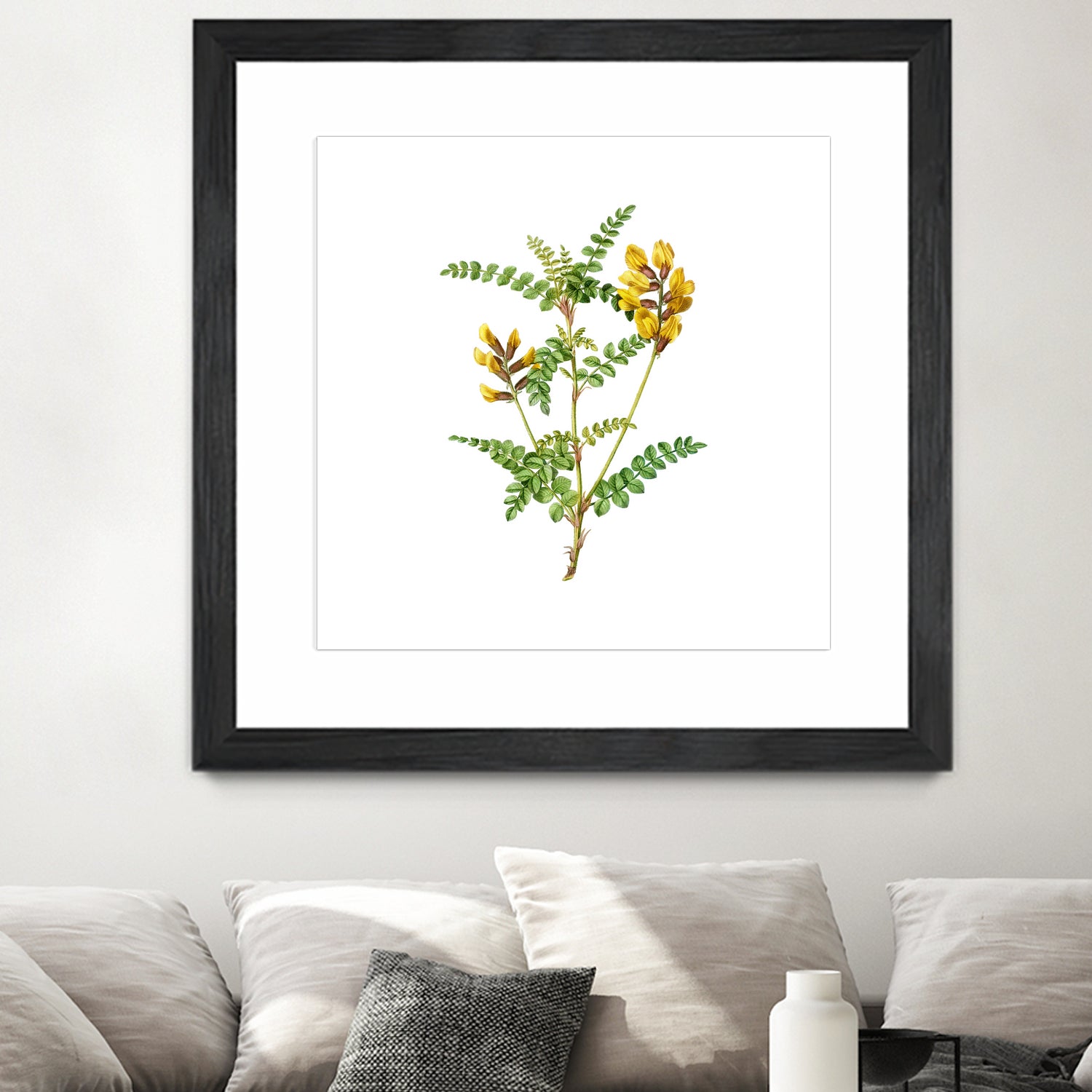 Vintage Calophaca Wolgarica Botanical Illustration by Raul Andre Petrasanta on GIANT ART - yellow mixed media