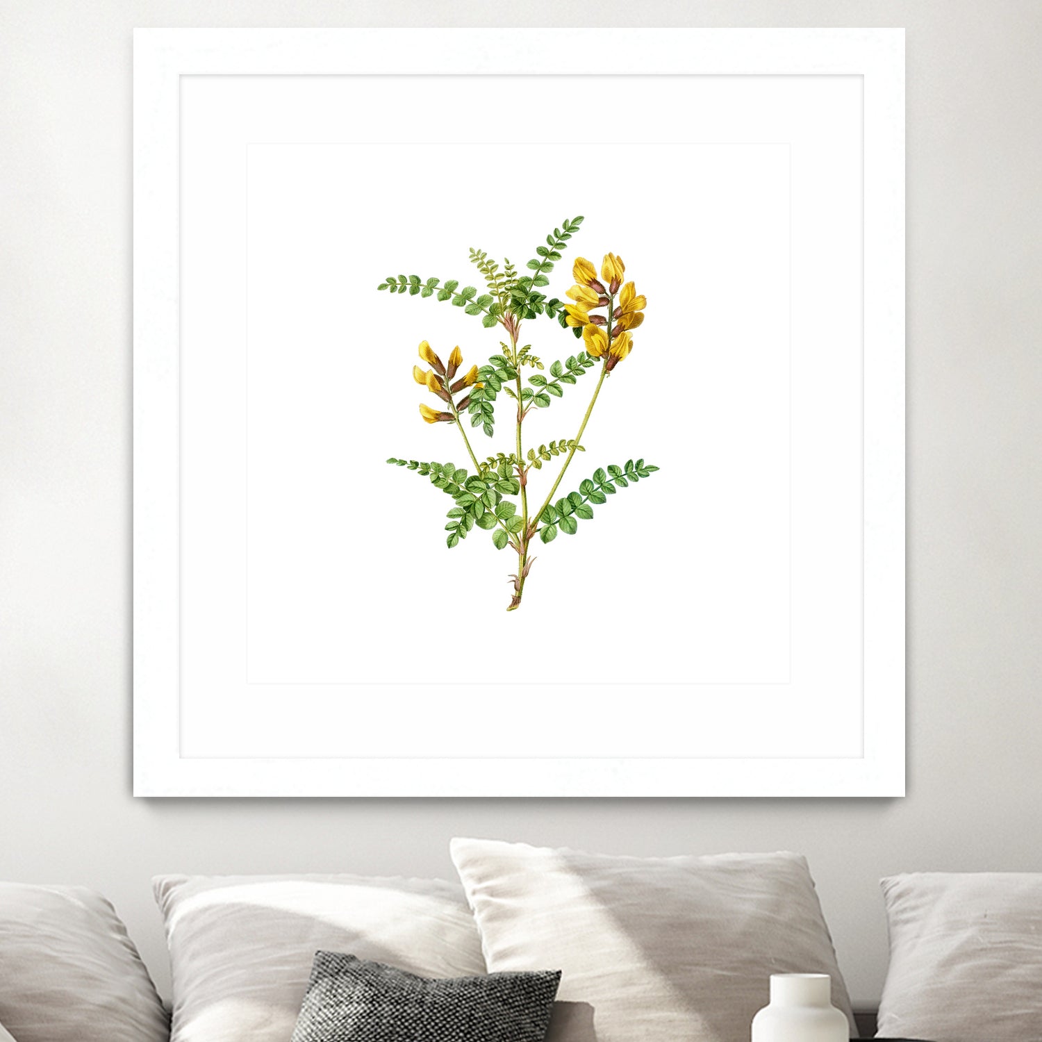 Vintage Calophaca Wolgarica Botanical Illustration by Raul Andre Petrasanta on GIANT ART - yellow mixed media