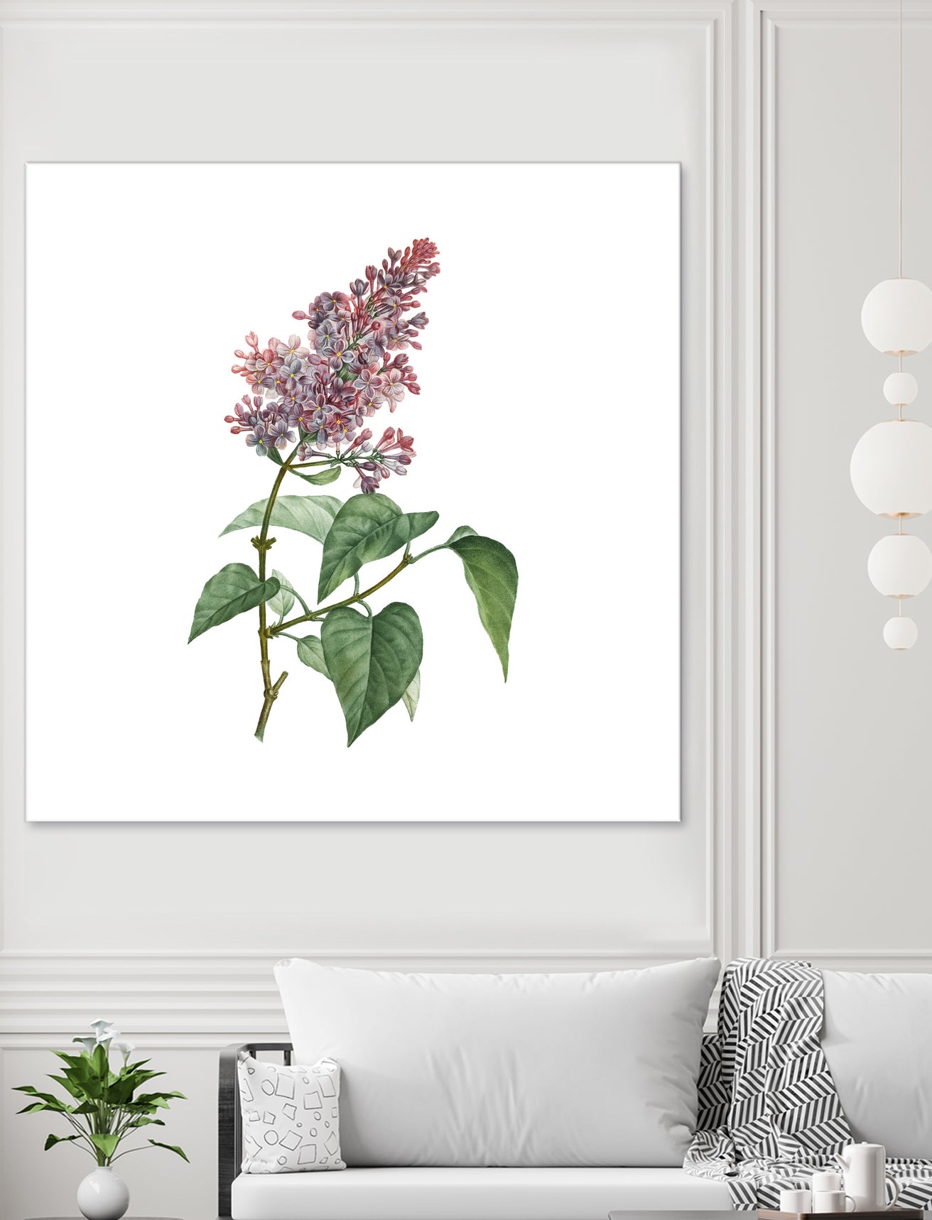 Vintage Common Pink Lilac Plant Botanical Illustratio by Raul Andre Petrasanta on GIANT ART - pink mixed media