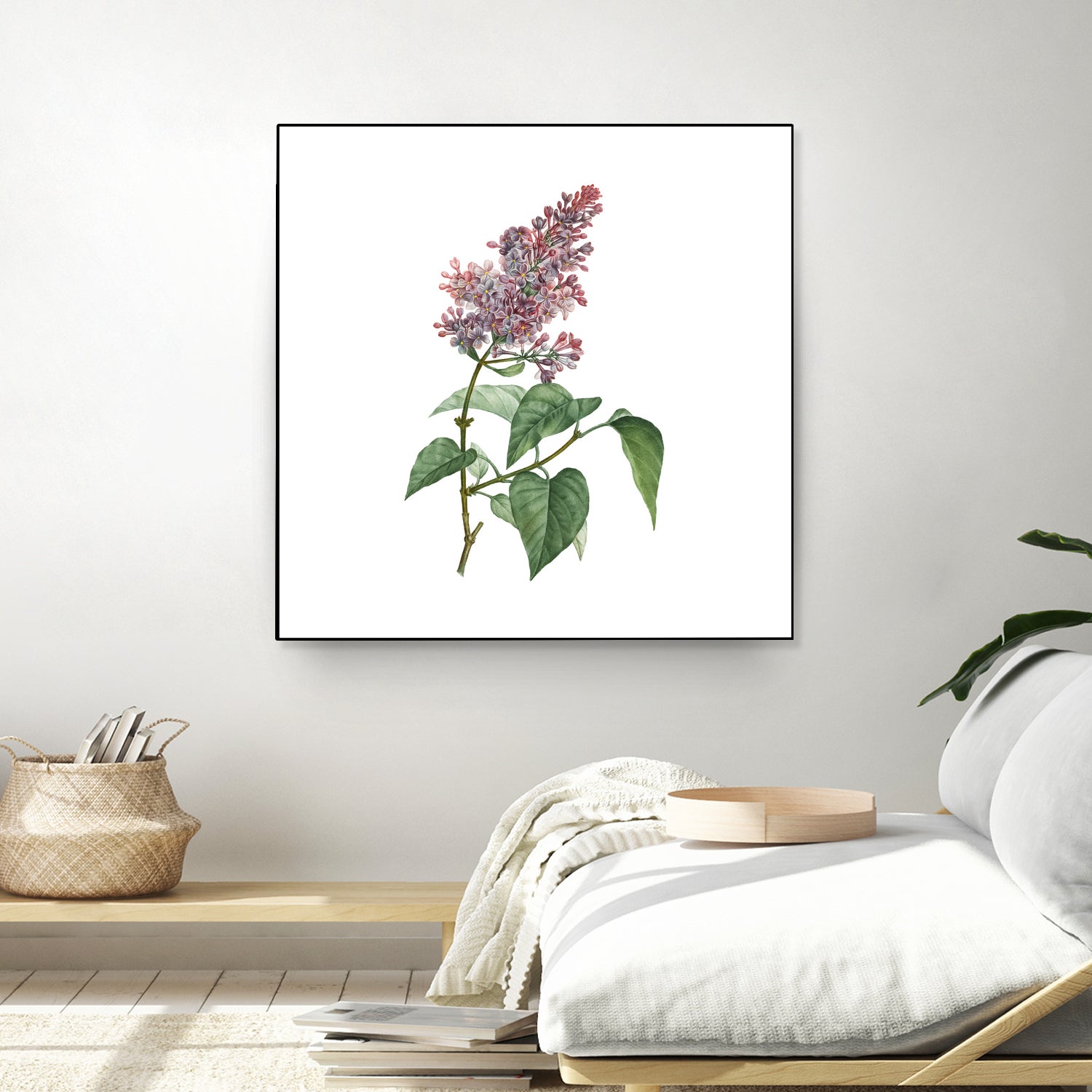 Vintage Common Pink Lilac Plant Botanical Illustratio by Raul Andre Petrasanta on GIANT ART - pink mixed media