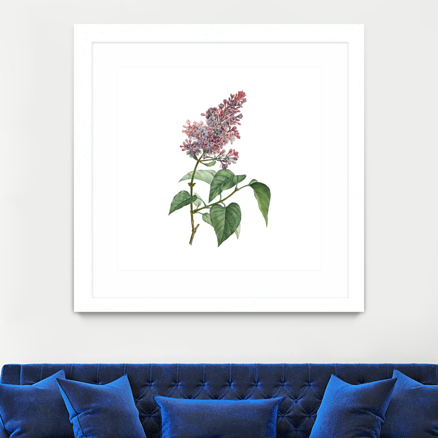 Vintage Common Pink Lilac Plant Botanical Illustratio by Raul Andre Petrasanta on GIANT ART - pink mixed media