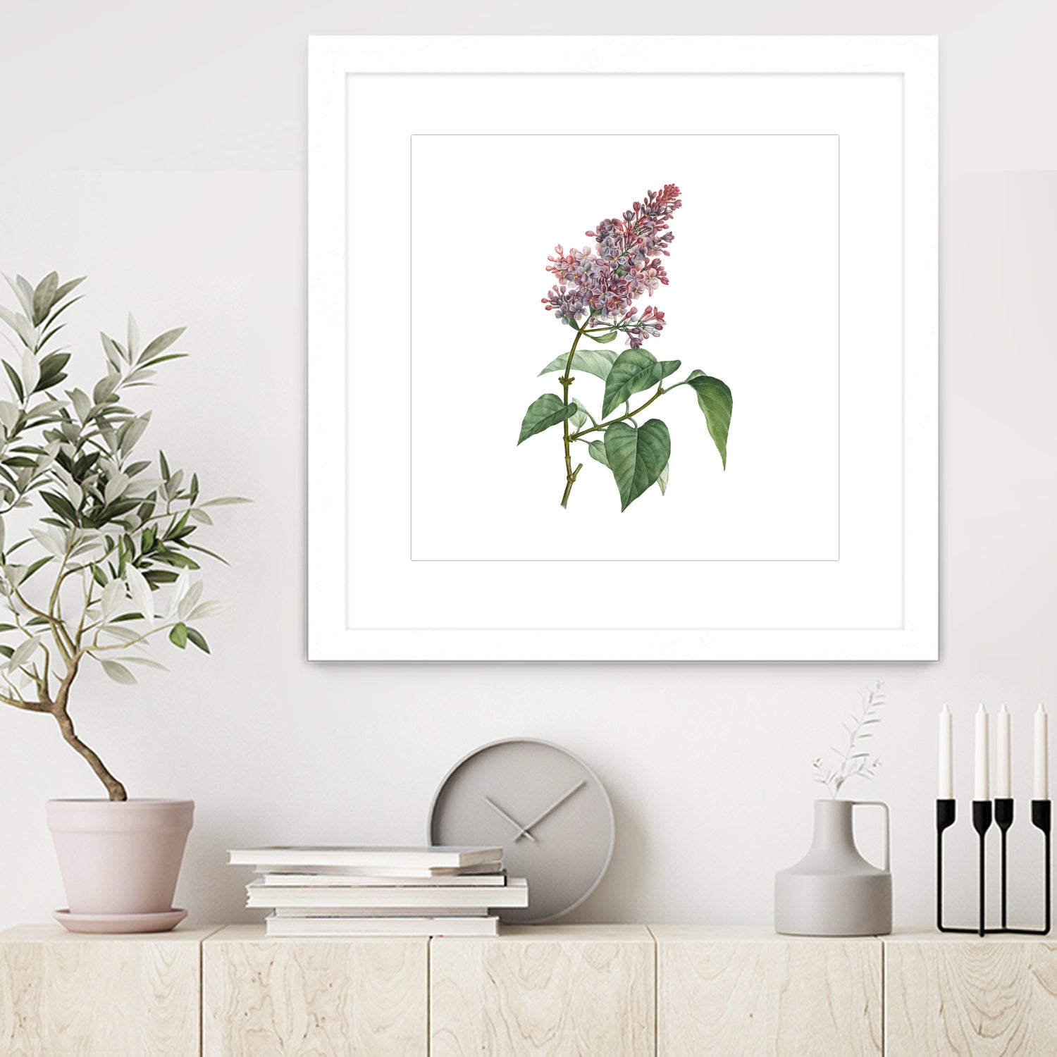 Vintage Common Pink Lilac Plant Botanical Illustratio by Raul Andre Petrasanta on GIANT ART - pink mixed media