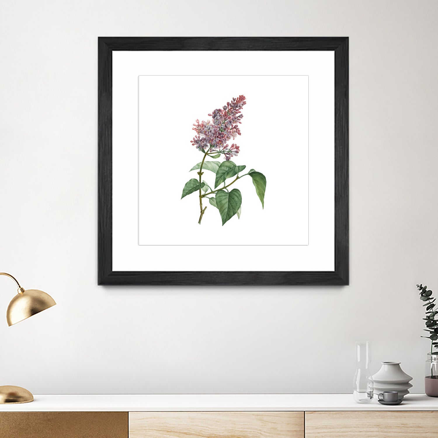 Vintage Common Pink Lilac Plant Botanical Illustratio by Raul Andre Petrasanta on GIANT ART - pink mixed media