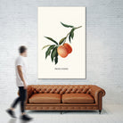 PEACHY by Jonas Loose on GIANT ART - orange photo manipulation