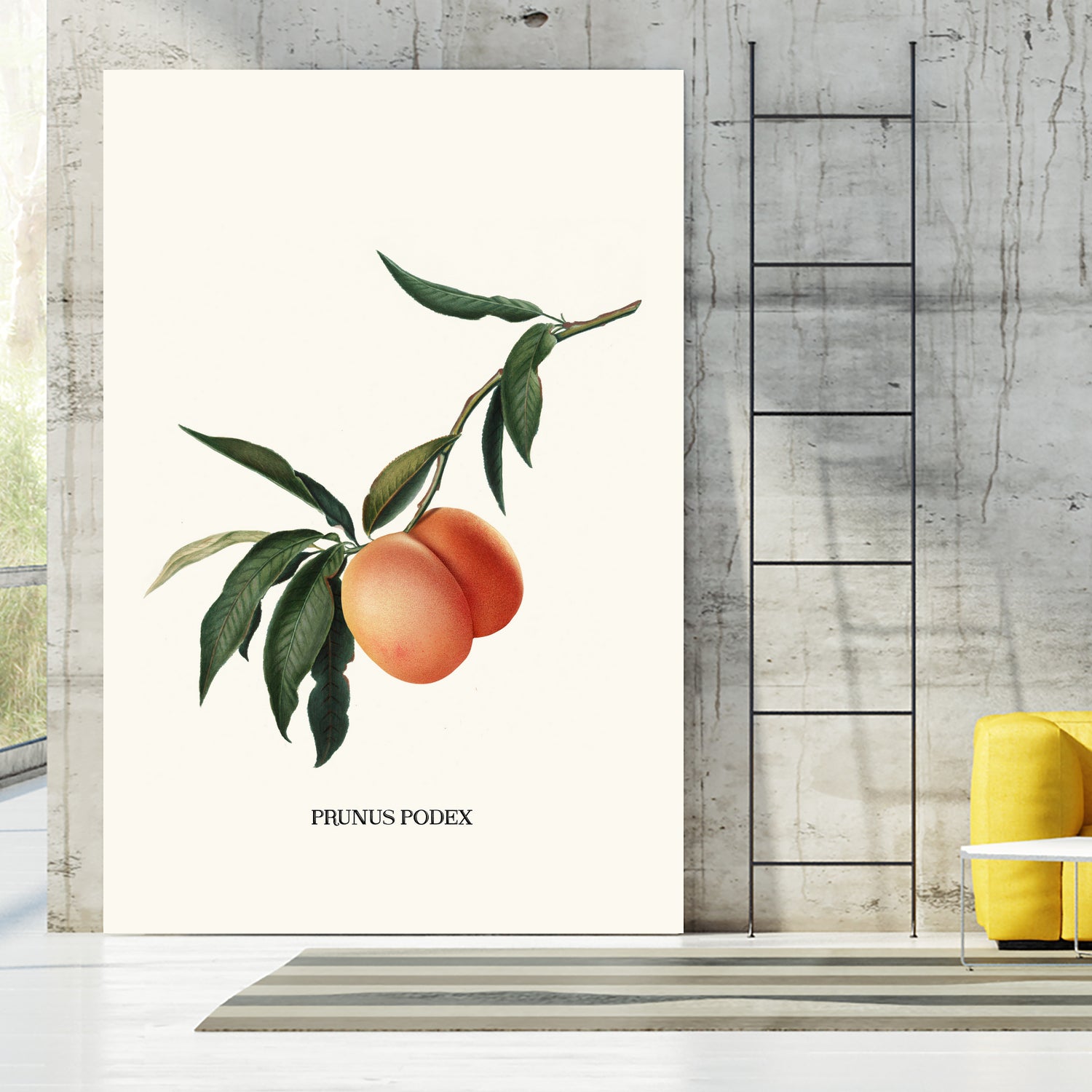 PEACHY by Jonas Loose on GIANT ART - orange photo manipulation