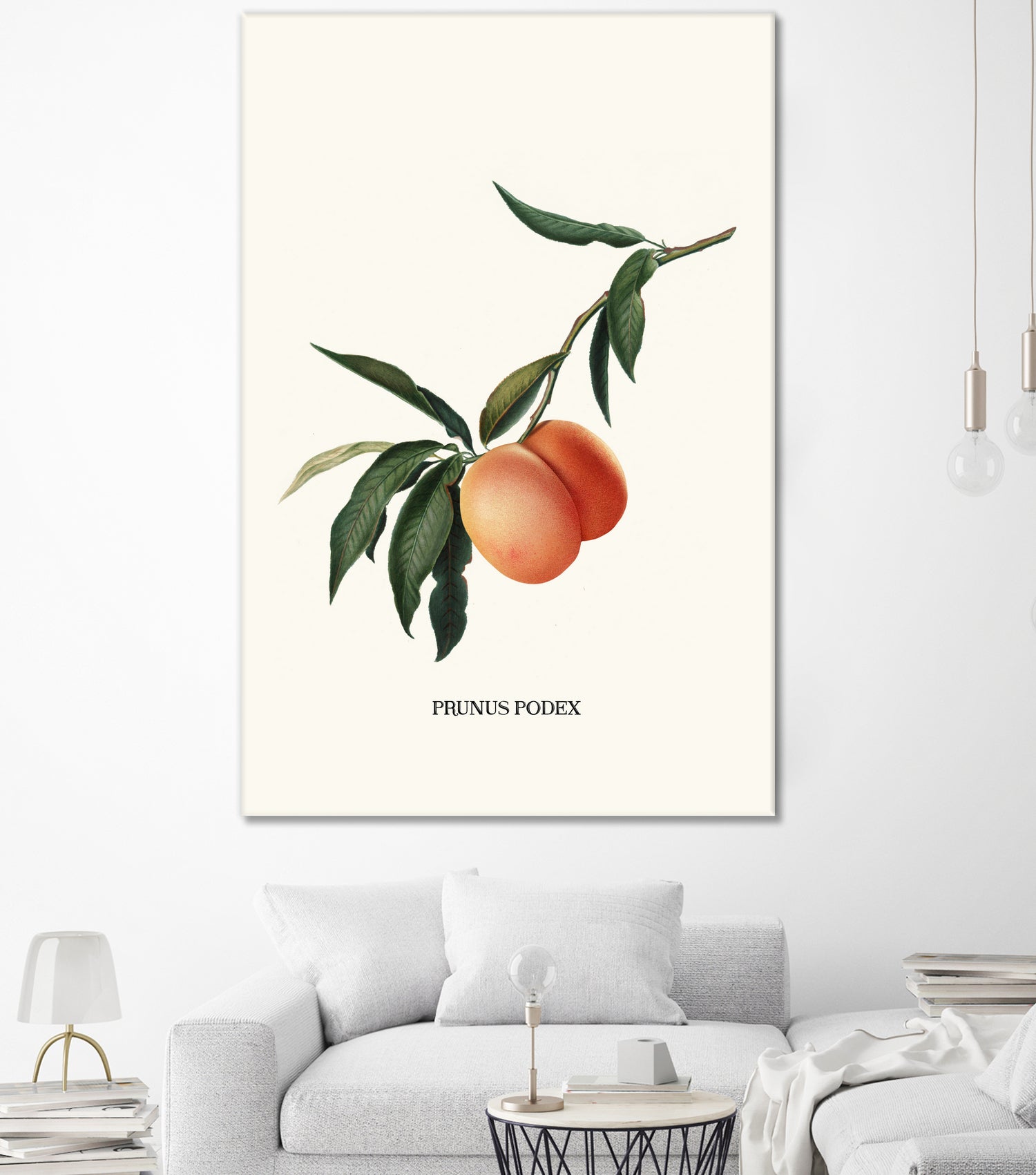 PEACHY by Jonas Loose on GIANT ART - orange photo manipulation