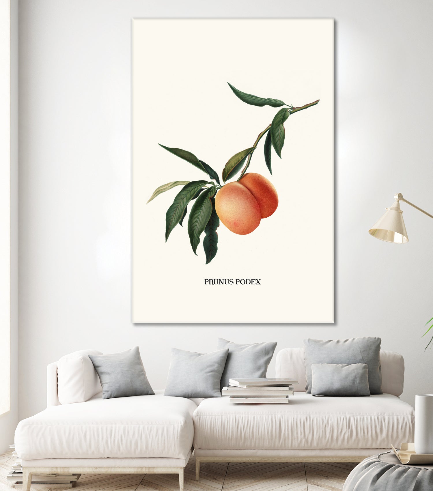 PEACHY by Jonas Loose on GIANT ART - orange photo manipulation