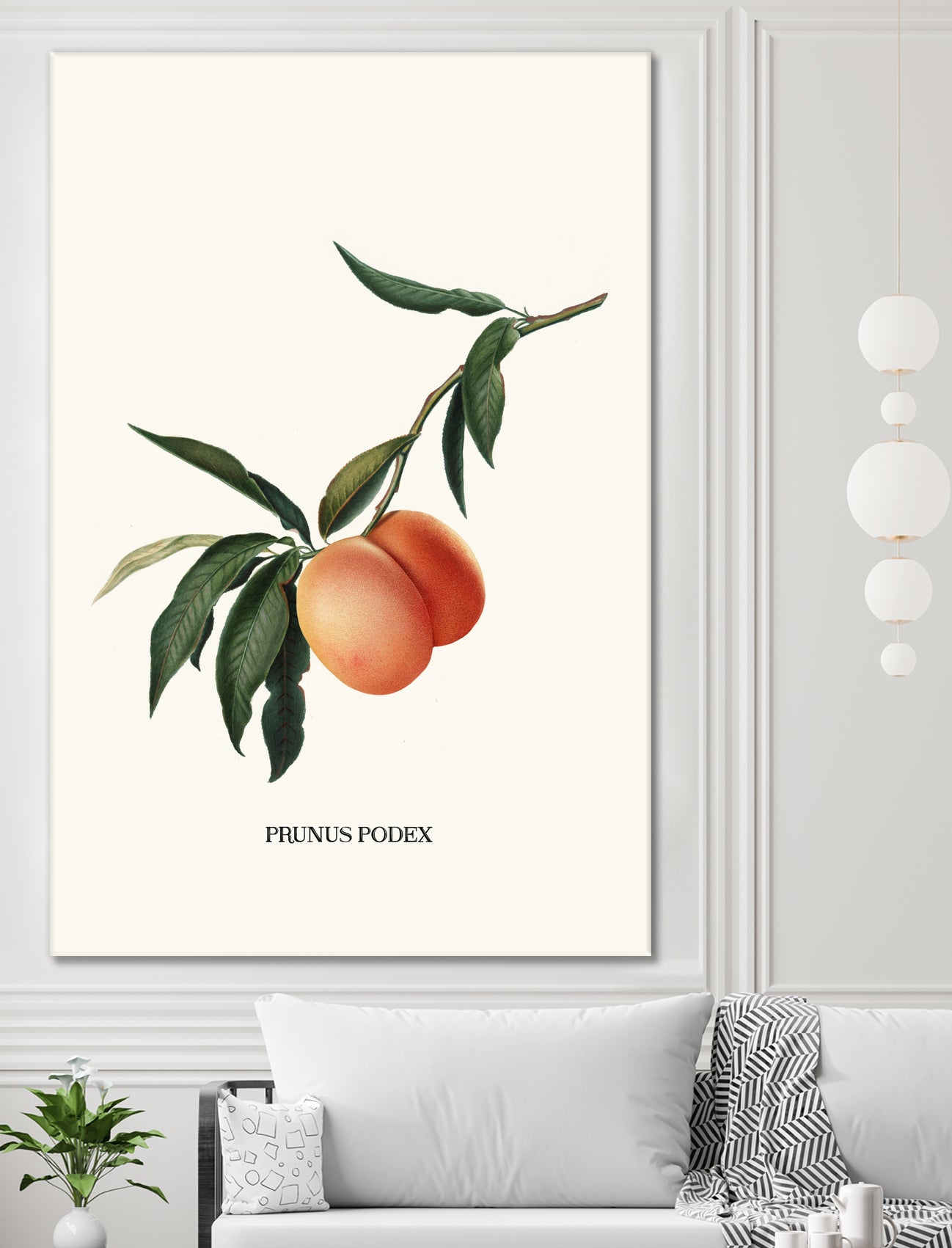 PEACHY by Jonas Loose on GIANT ART - orange photo manipulation