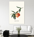 PEACHY by Jonas Loose on GIANT ART - orange photo manipulation