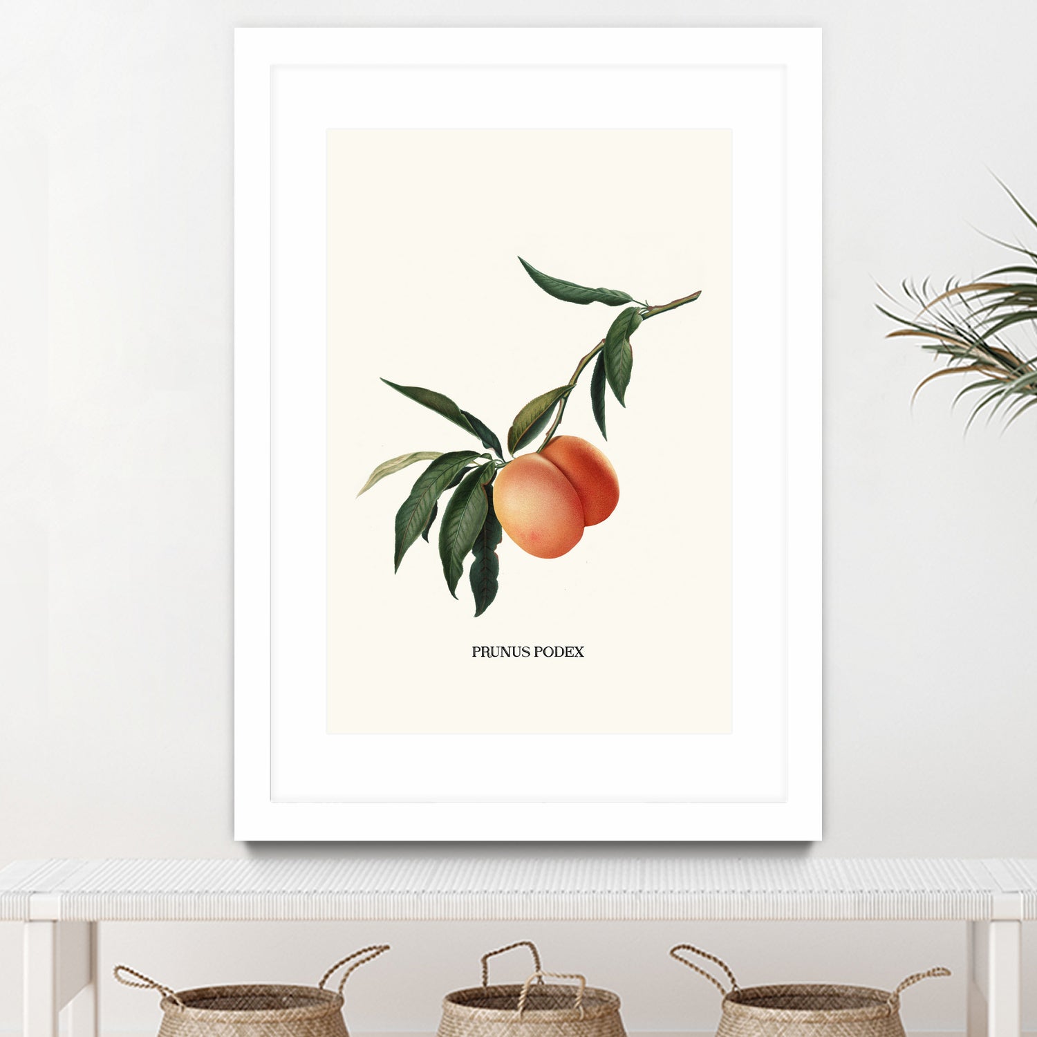 PEACHY by Jonas Loose on GIANT ART - orange photo manipulation