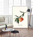 PEACHY by Jonas Loose on GIANT ART - orange photo manipulation